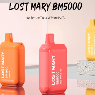 Lostmary BM5000